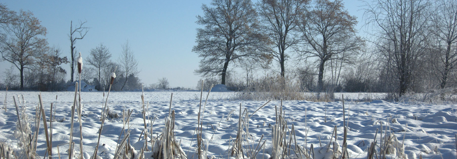 RevierJagd Luzern Lensräume winter